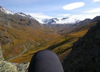 Sheep Hunt in Alaska Part 2 pic 5 sheep